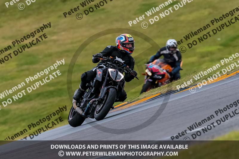 PJ Motorsport 2019;anglesey no limits trackday;anglesey photographs;anglesey trackday photographs;enduro digital images;event digital images;eventdigitalimages;no limits trackdays;peter wileman photography;racing digital images;trac mon;trackday digital images;trackday photos;ty croes